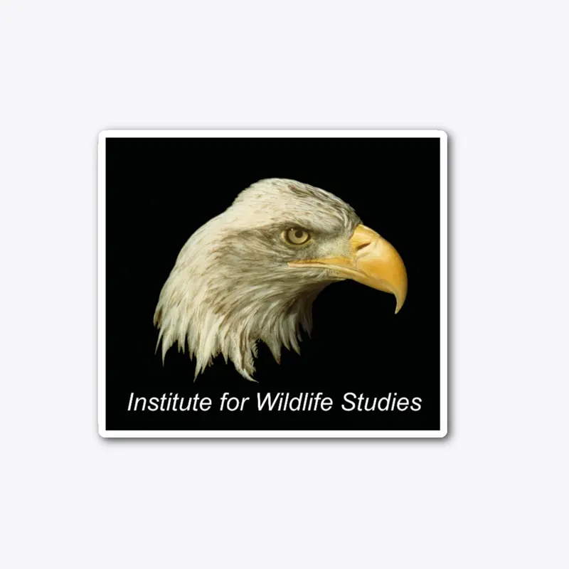 IWS Eagle Sticker